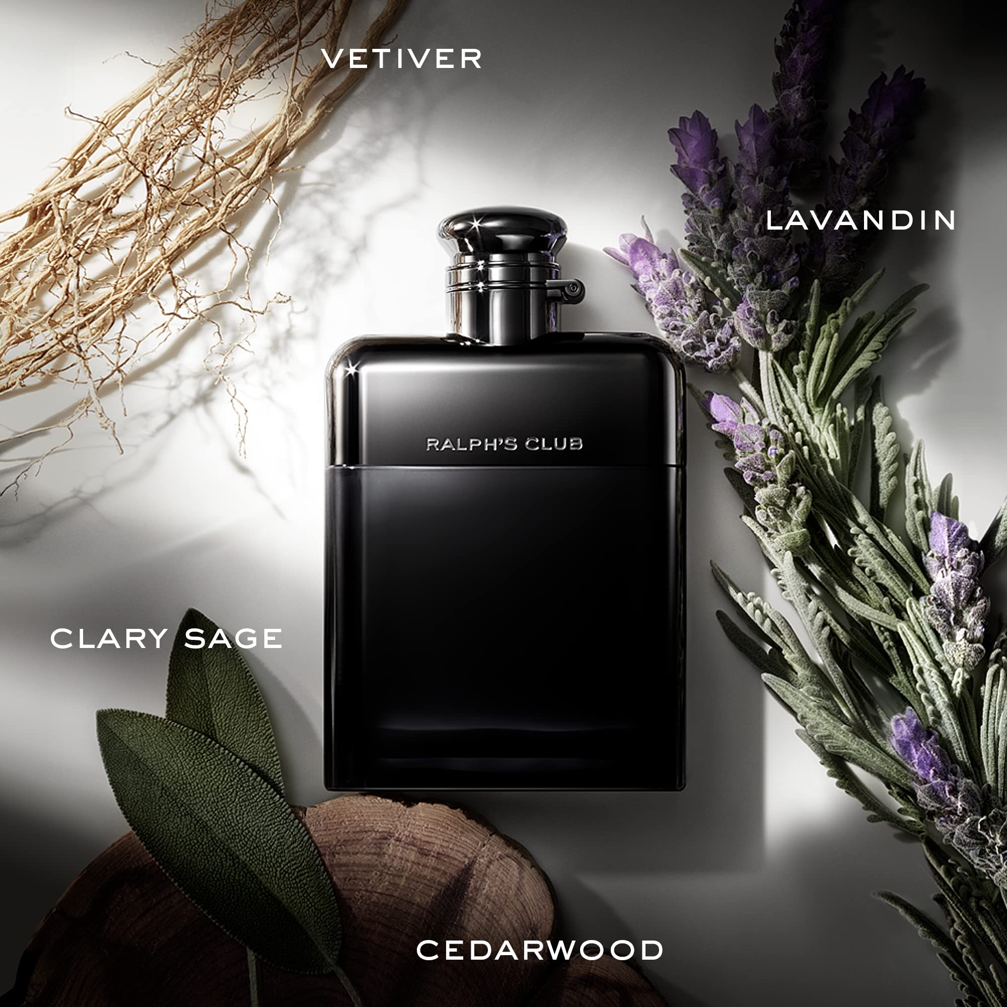 Amazon | RALPH'S CLUB EDP 100VP / ラルフ ローレン ラルフズ クラブ